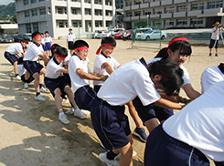 晃英祭